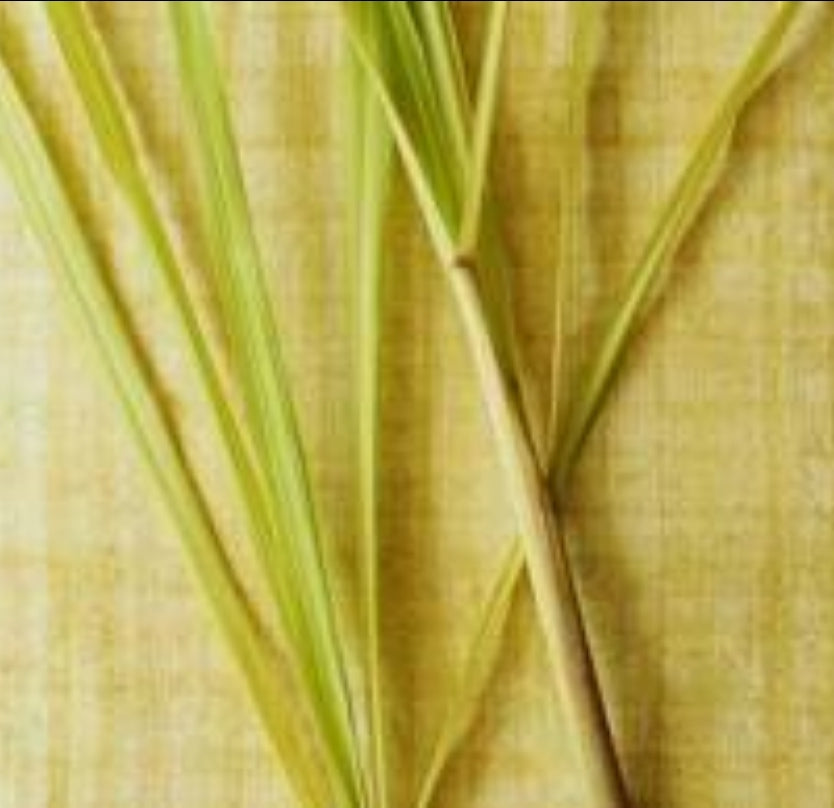 Lemongrass Twister Collection