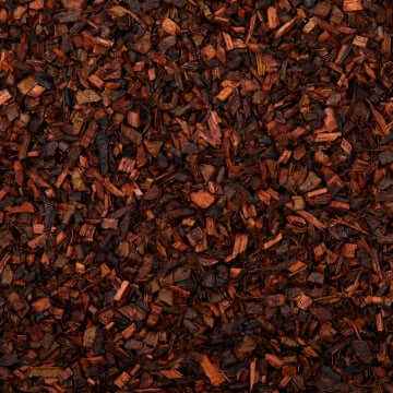 HoneyBush Organic Tea